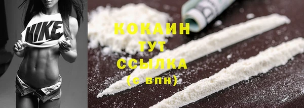 прущие крисы Бородино