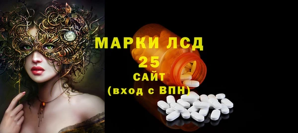 прущие крисы Бородино