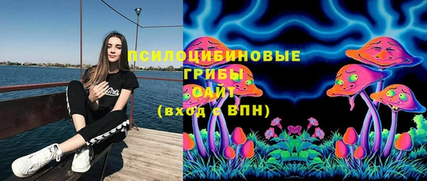 прущие крисы Бородино
