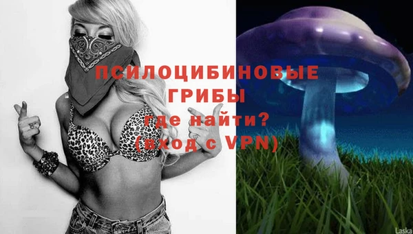 прущие крисы Бородино