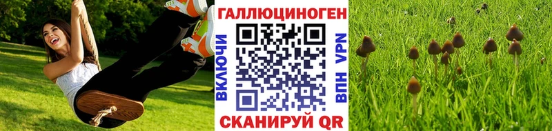 Галлюциногенные грибы GOLDEN TEACHER  Гагарин 